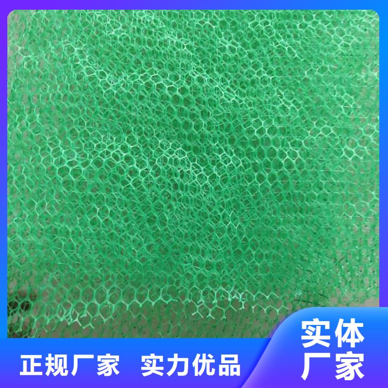 三维植被网复合膜厂家大量现货