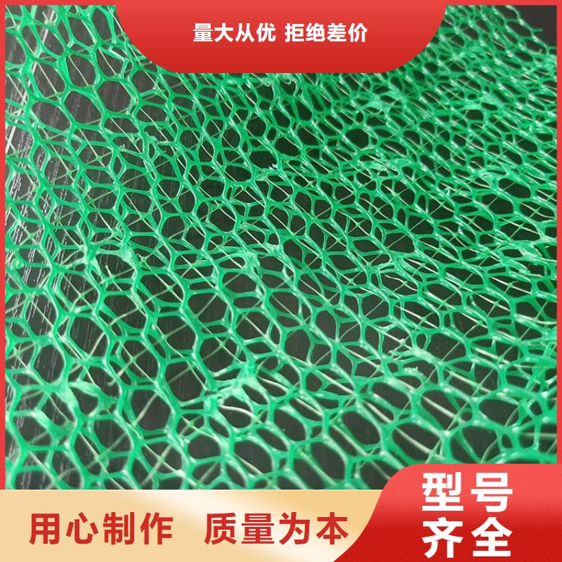 护坡植被植草网EM2EM3