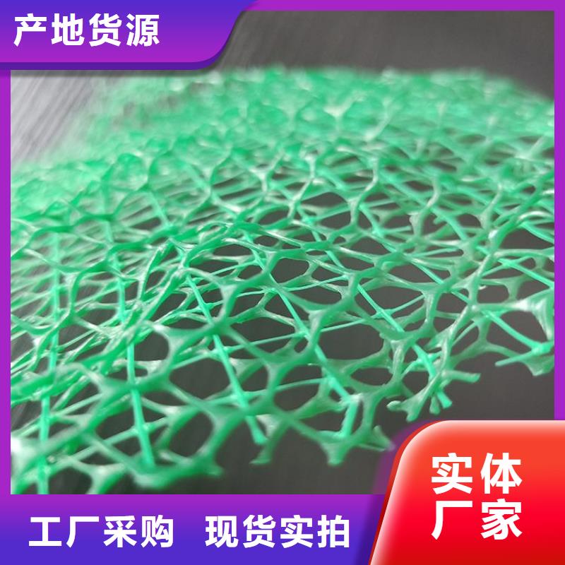 三维植草网垫边坡草皮