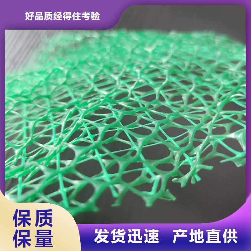 三维固土网垫三维土工网垫