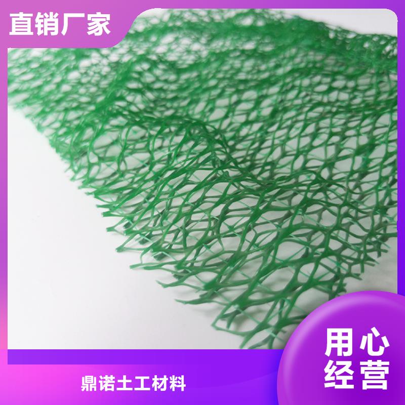 三维固土网垫EM4三维护坡植草网垫