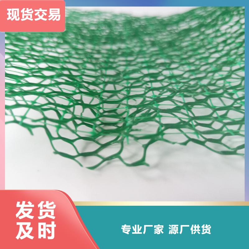 三维土工网垫-三维固土网垫