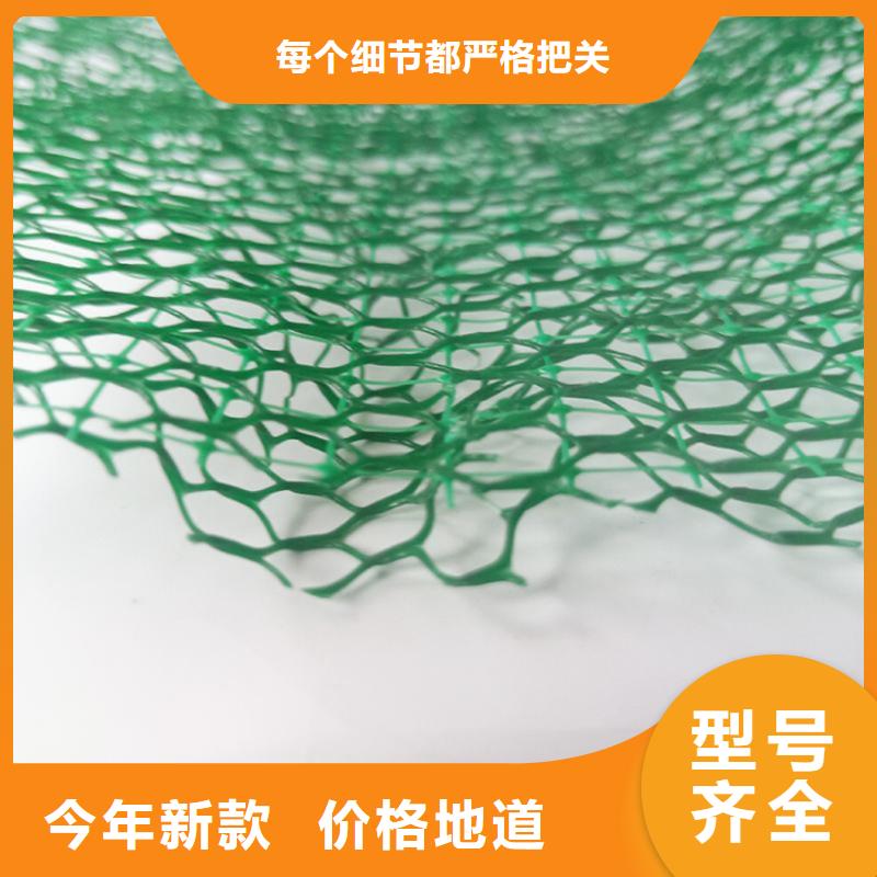 三维土工网垫-三维固土网垫