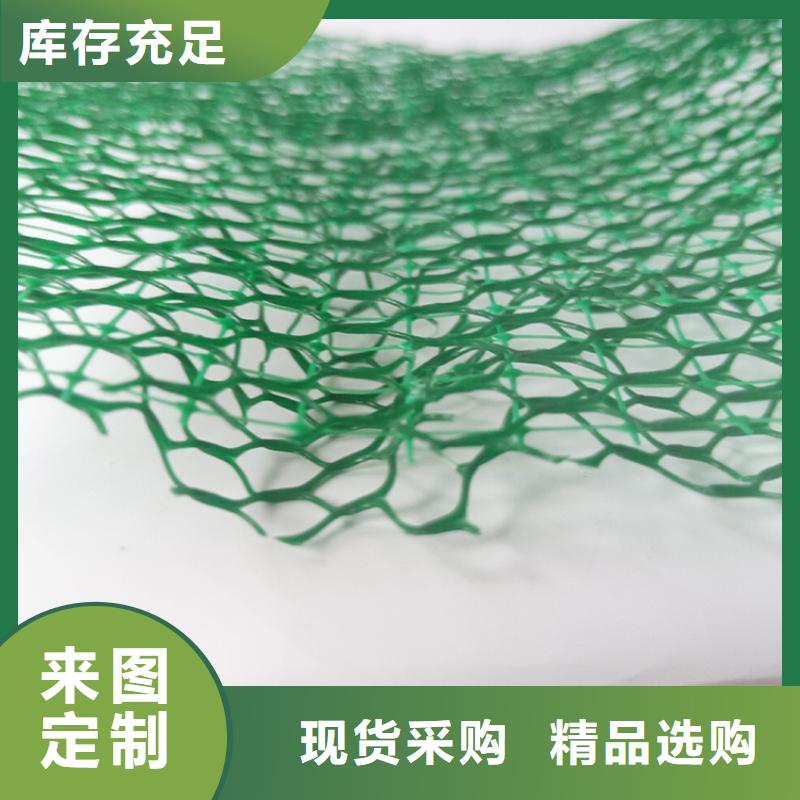 EM3三维加筋网垫来厂考察