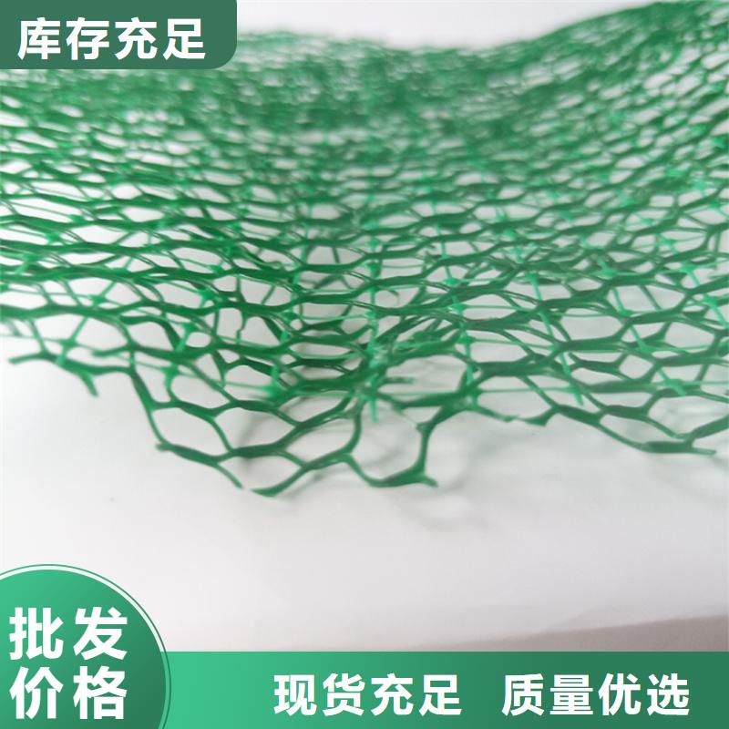 三维土工网垫EM2边坡