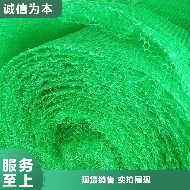 三维土工网垫提供施工