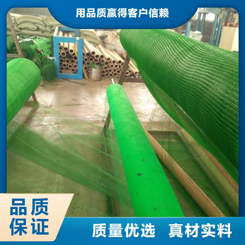 三维植被网复合膜厂家大量现货