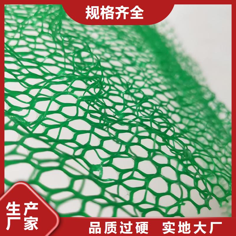 加筋塑料三维固土网垫