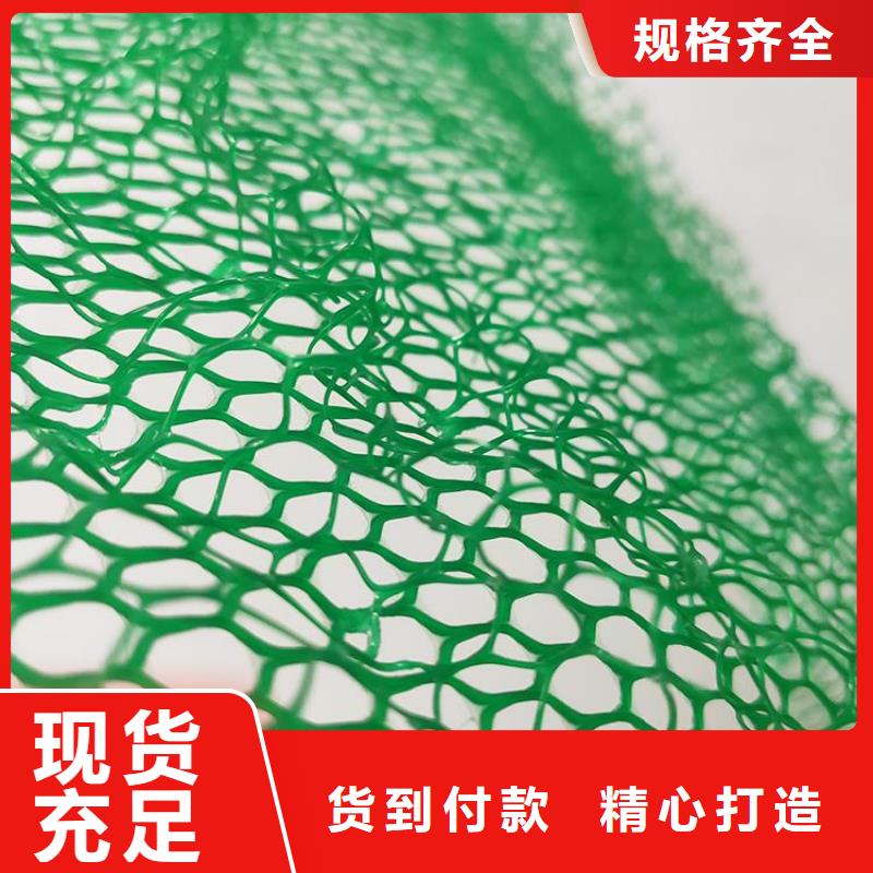 三维固土网垫EM4三维固土网垫
