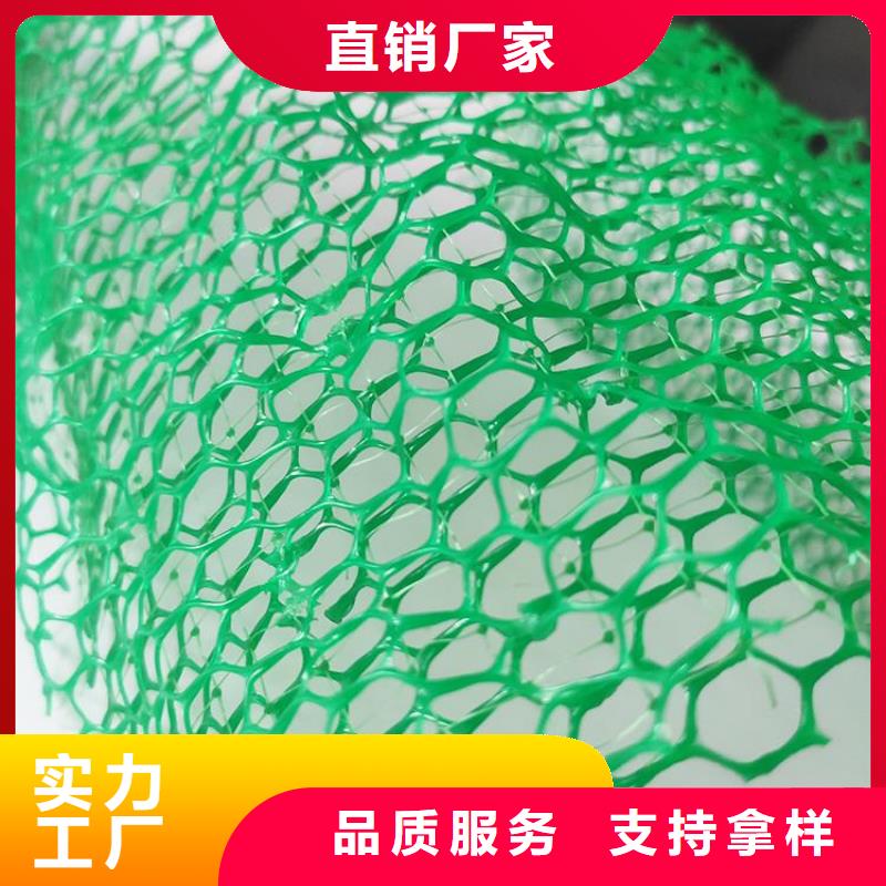 三维植被网-EM5三维加筋网垫