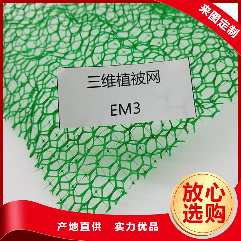 EM4三维护坡植草网垫提供施工