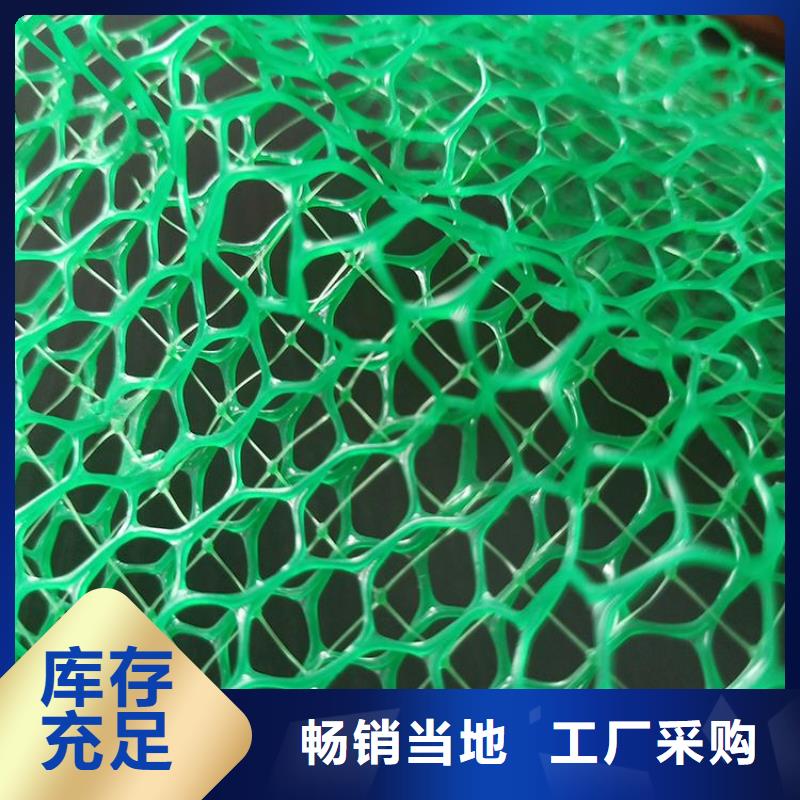 三维植被网厂家-公司