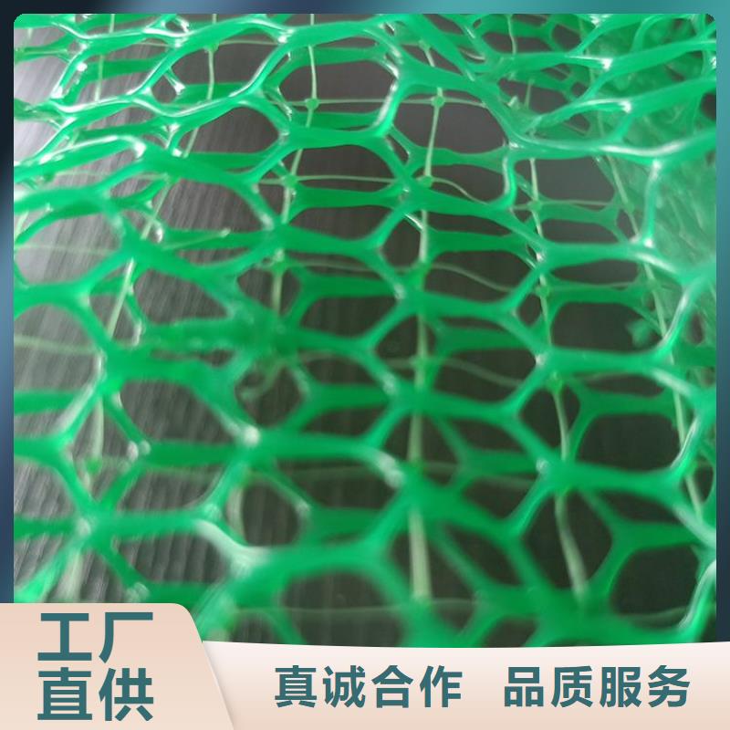 三维土工网垫厂家代理