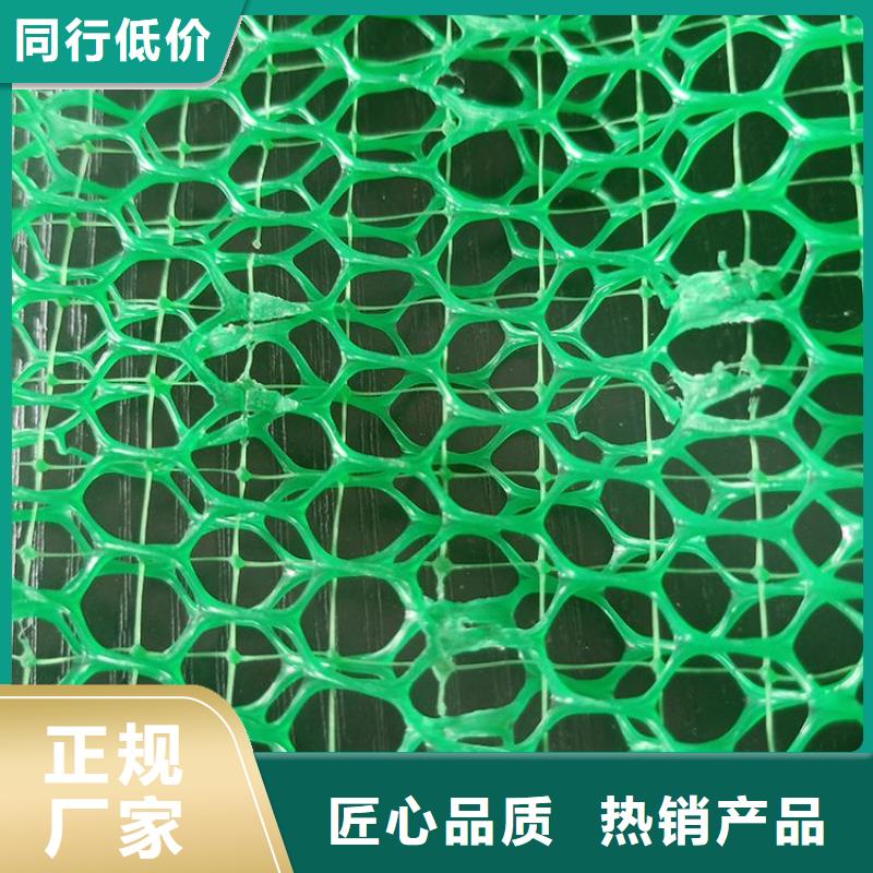 EM4三维固土网垫