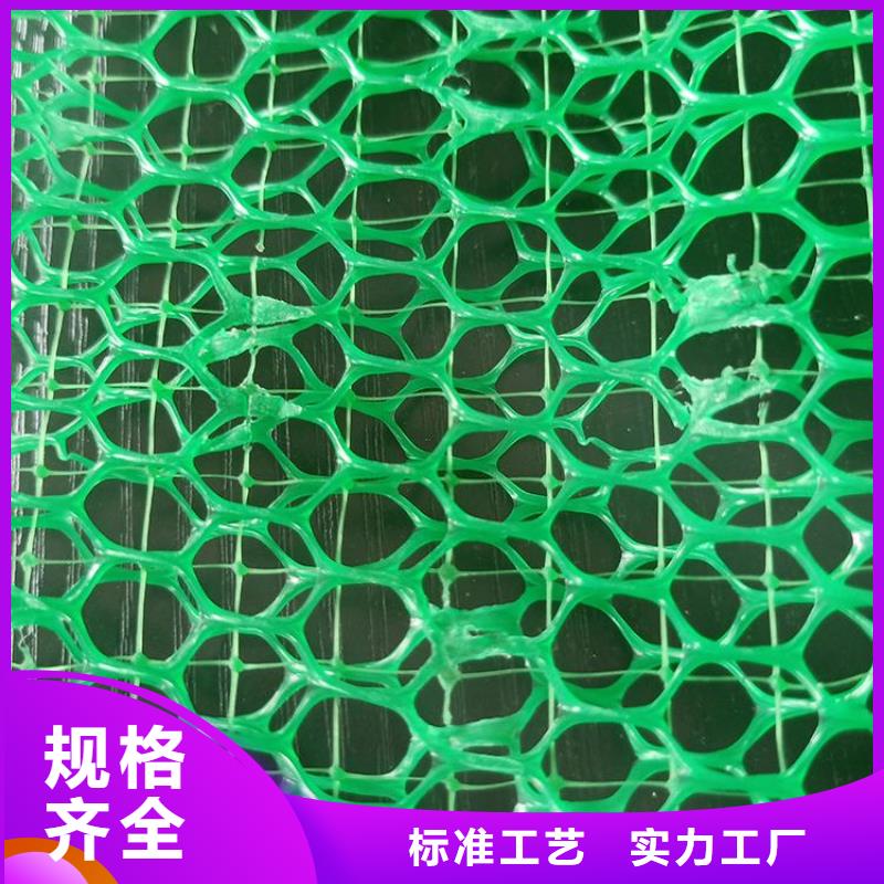 三维植被网-软式透水管经验丰富质量放心