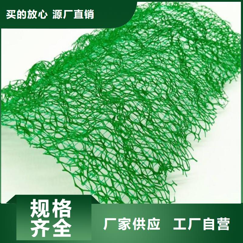 三维植草网垫边坡草皮