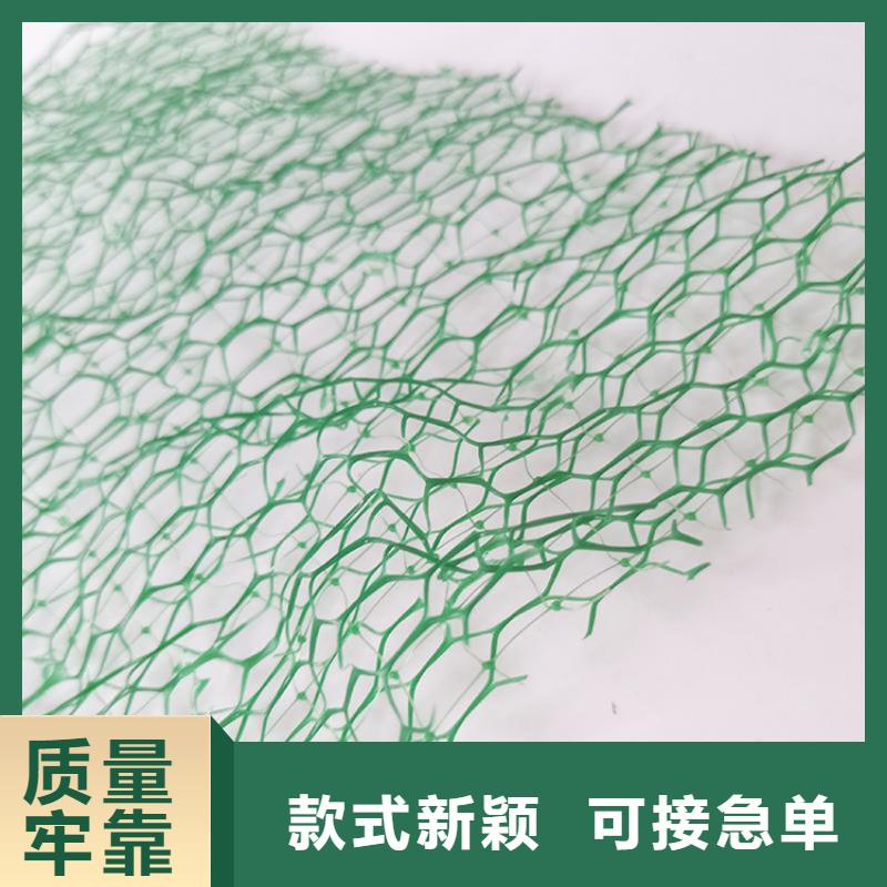 EM5三维加筋网垫