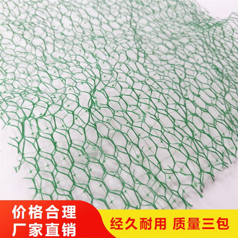 三维植被网厂家-公司