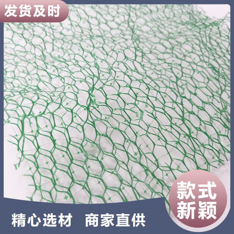 环保EM4三维固土网垫