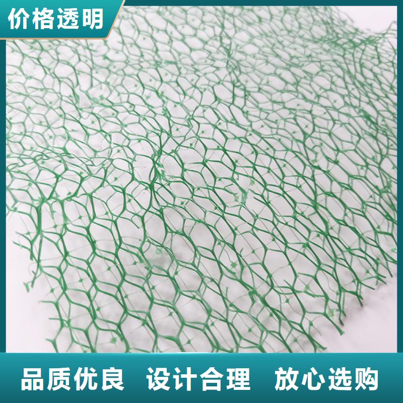 三维土工网垫厂家-销售
