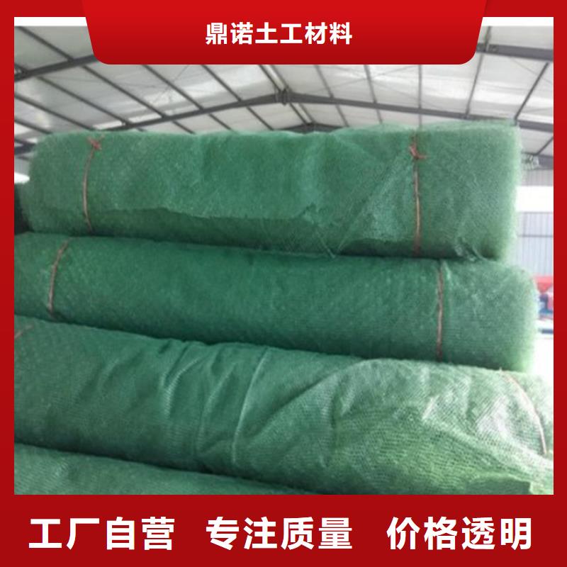 三维土工网垫-EM4三维固土网垫
