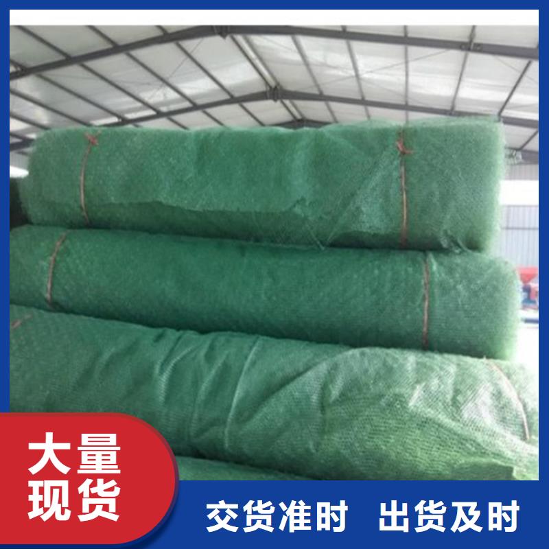 EM4三维护坡植草网垫