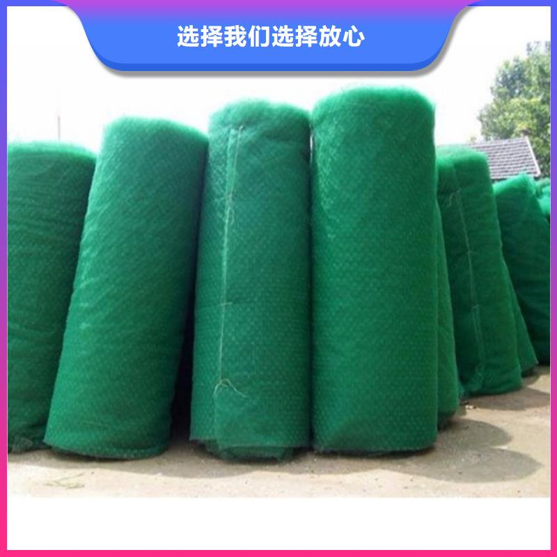 三维植被网-EM4三维固土网垫