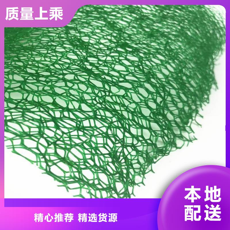 三维植被网防渗膜价格地道