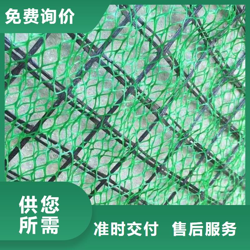 三维土工网垫-三维土工网垫