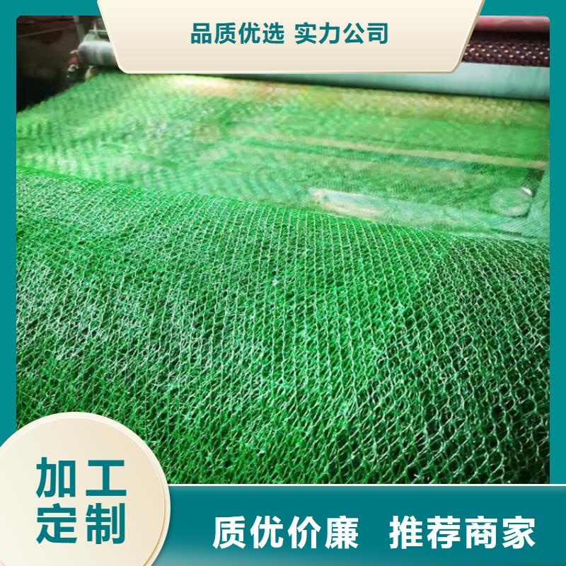 EM4三维固土网垫-3层4层三维植被网
