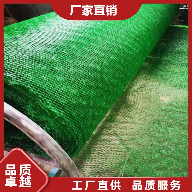 EM5三维加筋网垫