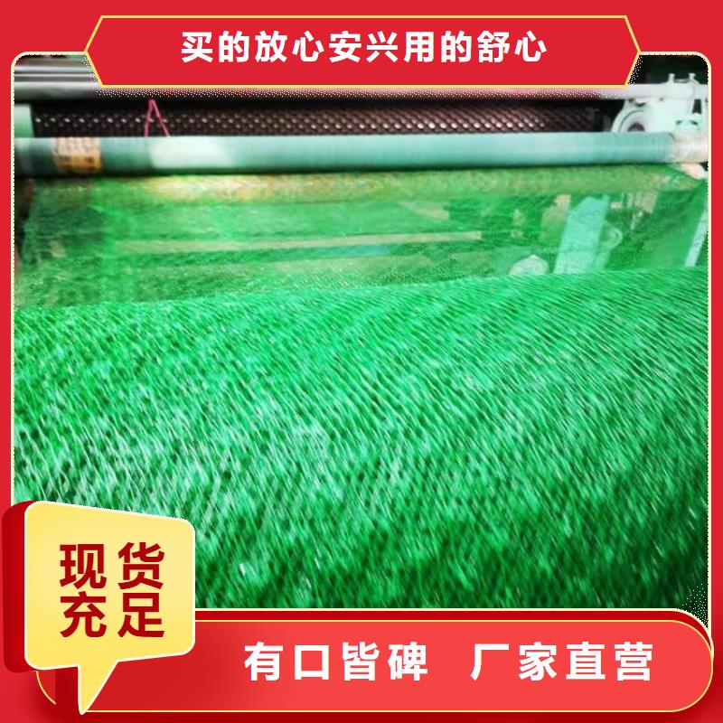 加筋塑料三维固土网垫
