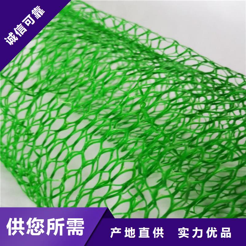 三维土工网垫施工资讯