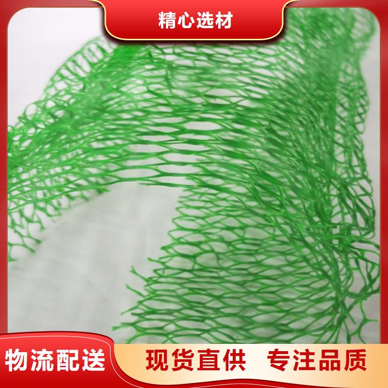 EM4三维固土网垫