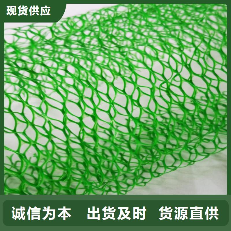 三维固土网垫EM4三维固土网垫