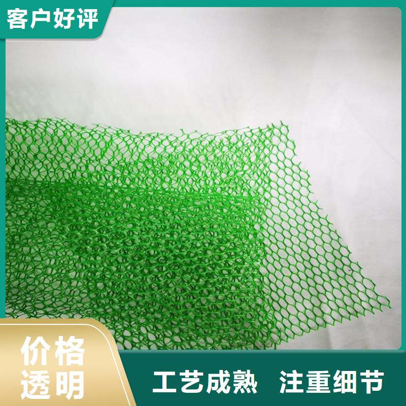 三维土工网垫层层检测
