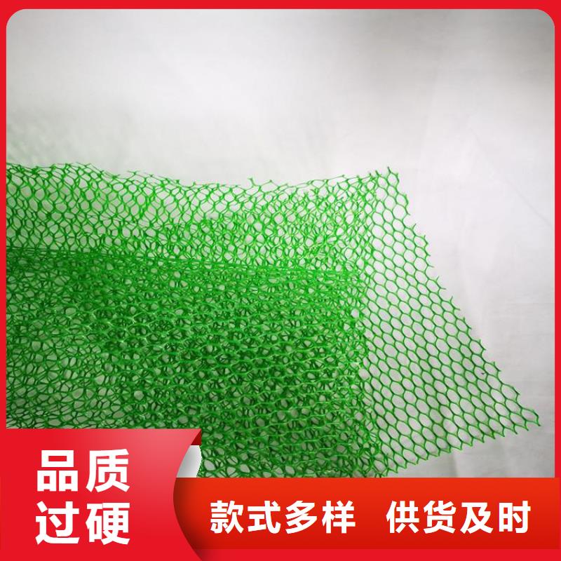 三维固土网垫EM4三维固土网垫