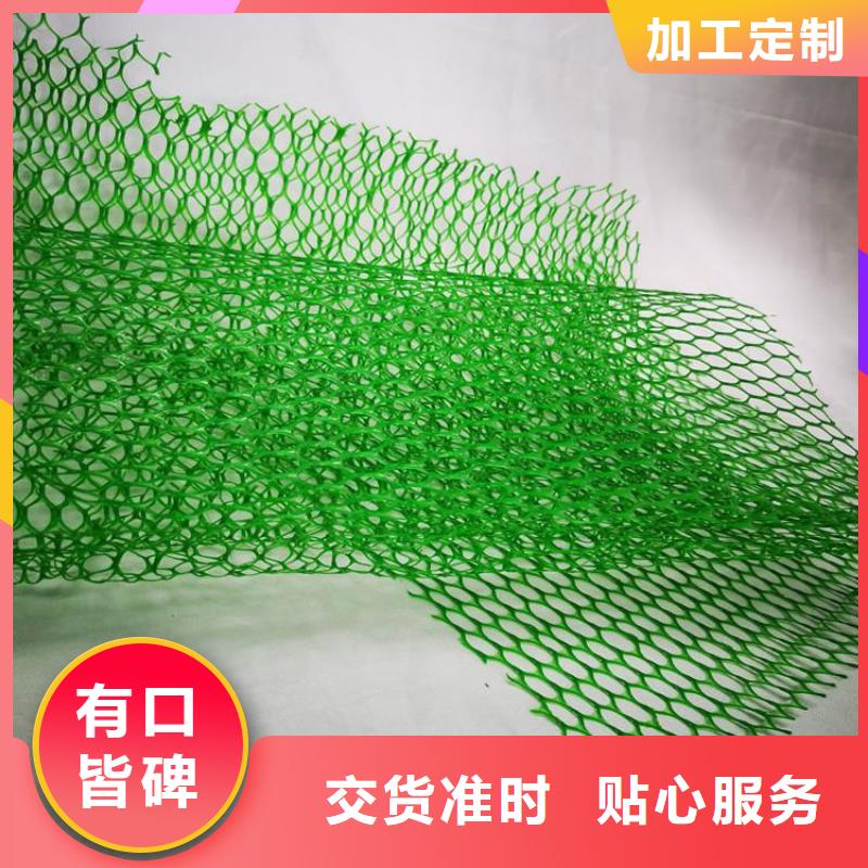 三维土工网垫EM2边坡