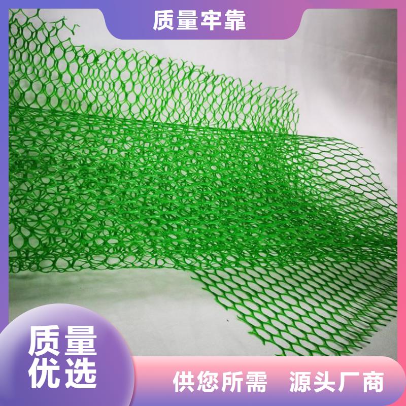 三维土工网垫-EM3三维植被网