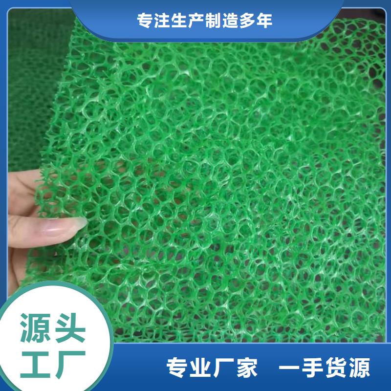 三维植被网诚信厂家
