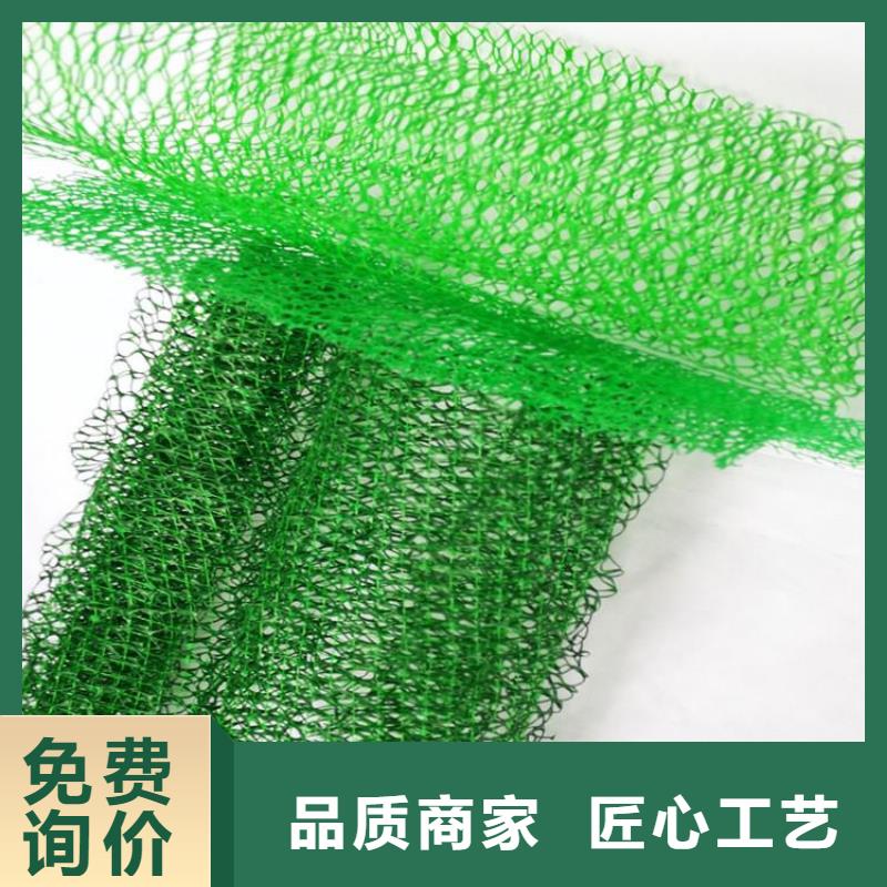 三维土工网垫-三维固土网垫