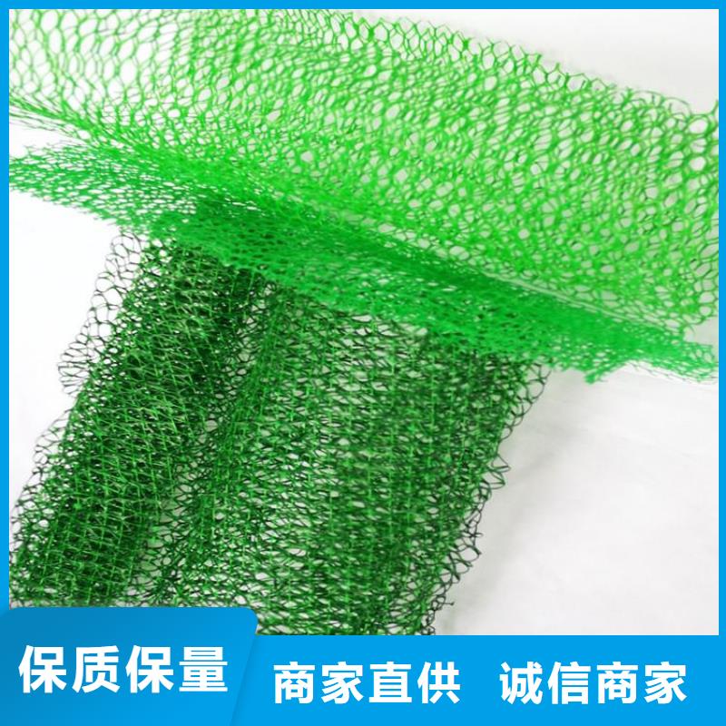 三维土工网垫-三维固土网垫