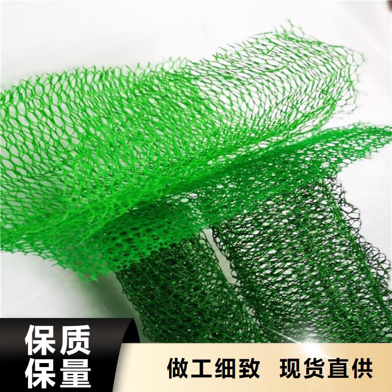 三维土工网垫-EM2三维植被网