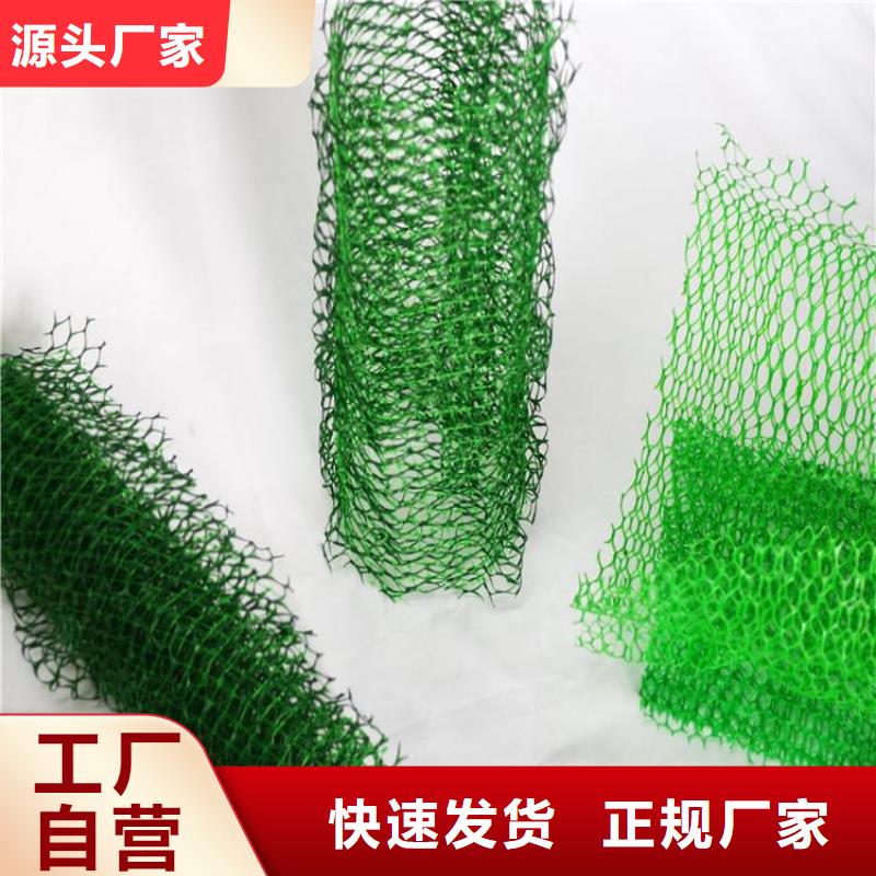 EM3三维加筋网垫来厂考察