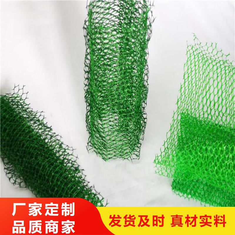 三维土工网垫-EM4三维护坡植草网垫