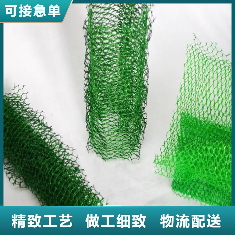 三维固土网垫EM4三维固土网垫