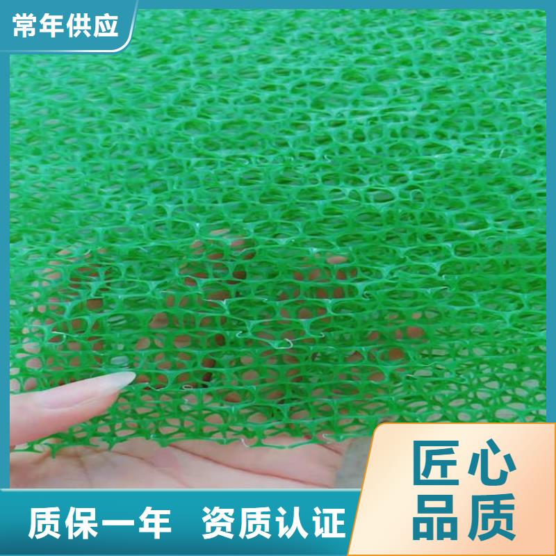 三维土工网垫-EM3三维植被网