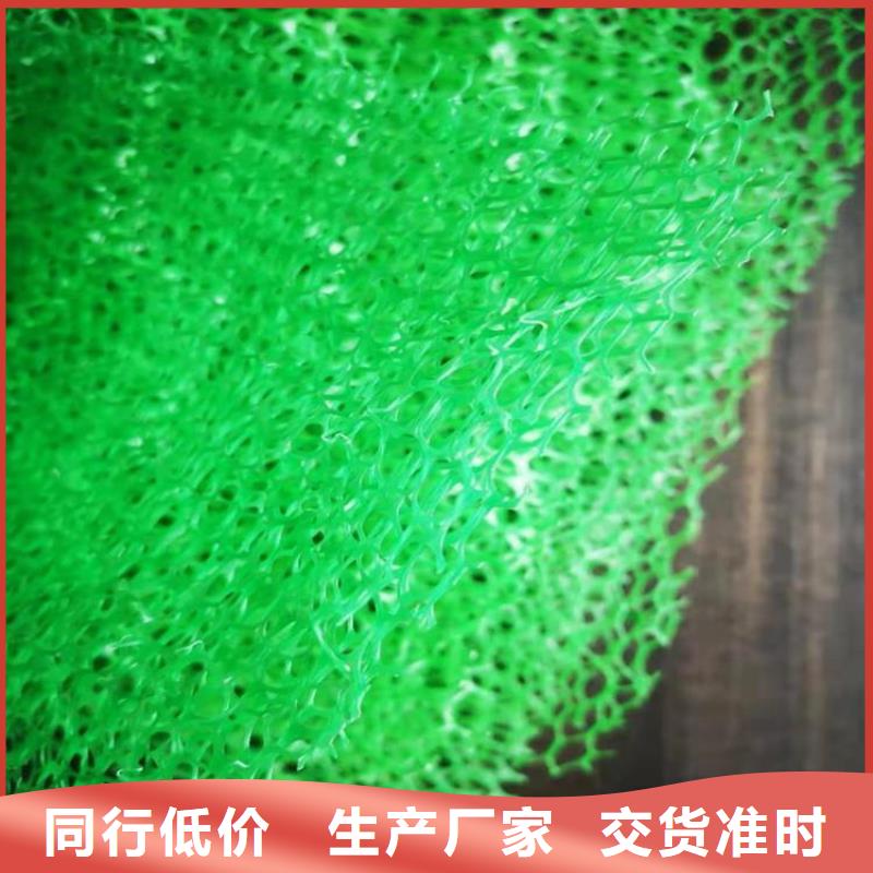 三维植被网-EM5三维加筋网垫