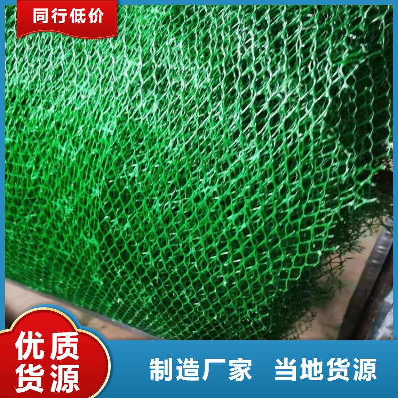 三维土工网垫-三维固土网垫