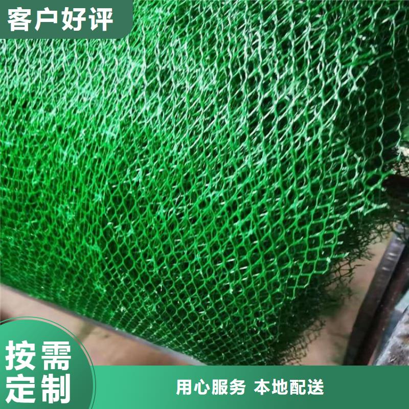 三维土工网垫-三维土工网垫